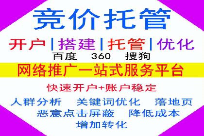 SEM广告优化案例：实战技巧解析